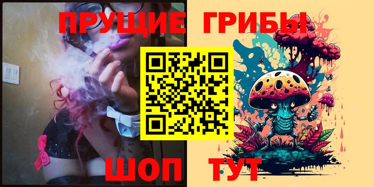 Галлюциногенные грибы Psilocybe  купить закладку  Арсеньев  Галлюциногенные грибы Psilocybe  Вход с VPN 